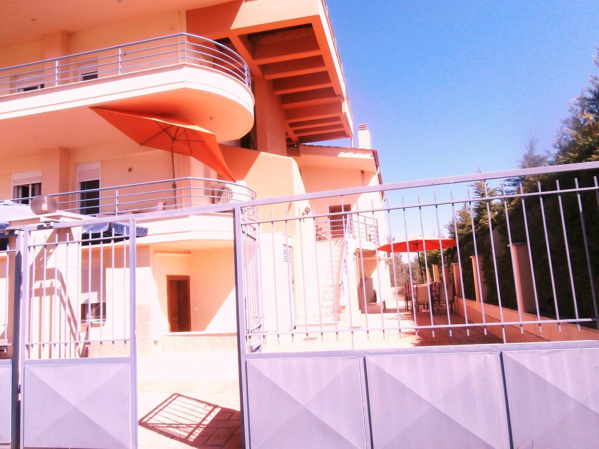 Dimitrios Apartments Sotirítsa エクステリア 写真